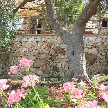 Residencefusaro Pajare