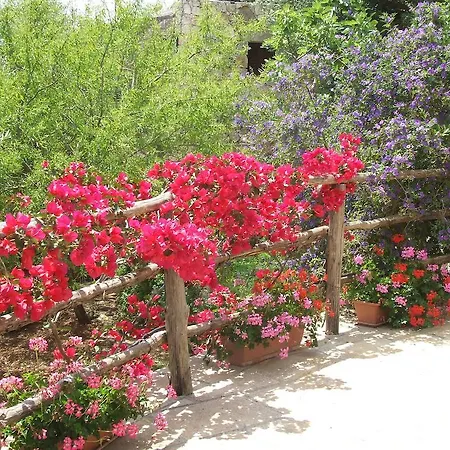 Country house Residencefusaro Pajare Specchia