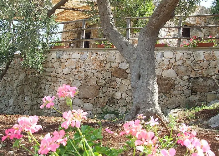 Residencefusaro Pajare
